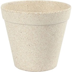 Bambusa puķu pods (10 cm)