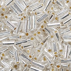 Pērlītes-perlamutra (10 g)