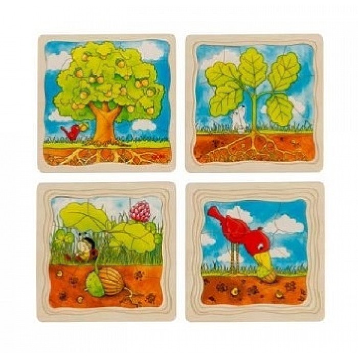 Slāņu puzle "Ozola augšanas cikls"