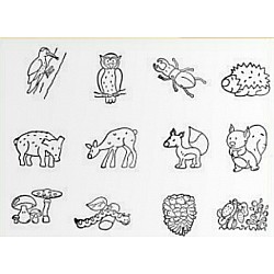 Zīmodziņi "Mežs" (12 gb.)