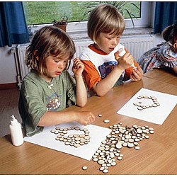 Koka ripiņas (apm. 100 gb.)