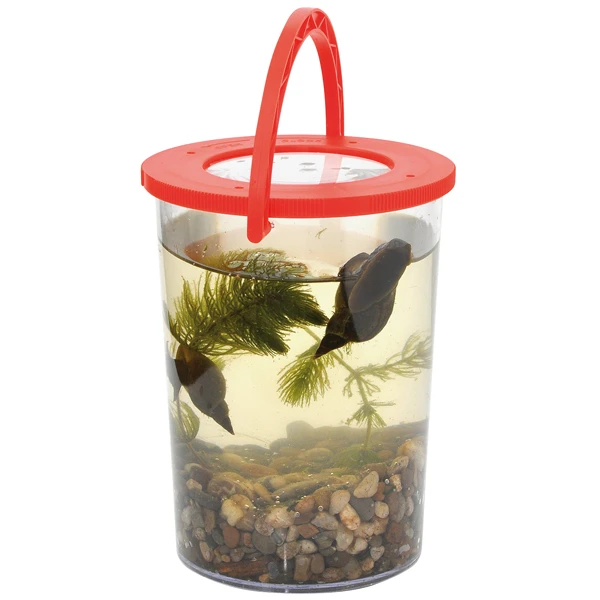 Large Magnifying Mug