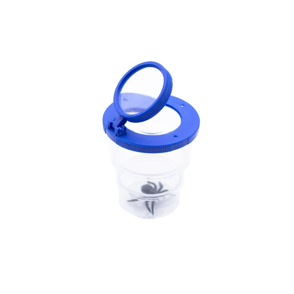 Folding Box with Magnifying Glass