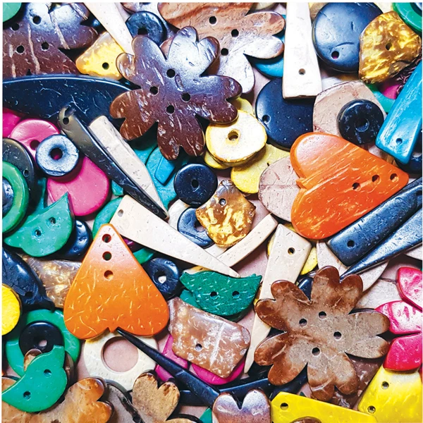 Coconut Shells - VariousShapes