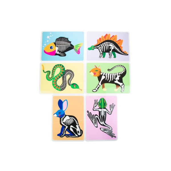 Изображения скелетов животных (6 шт.)