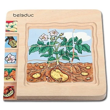 Многослойная пазл-игра «Картофель»