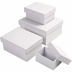 Rectangular Boxes (4 pcs)