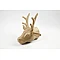 Cardboard Deer Head (30 cm Height)
