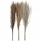 Pampu Grass I