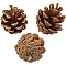 Pine Cones (500 g)
