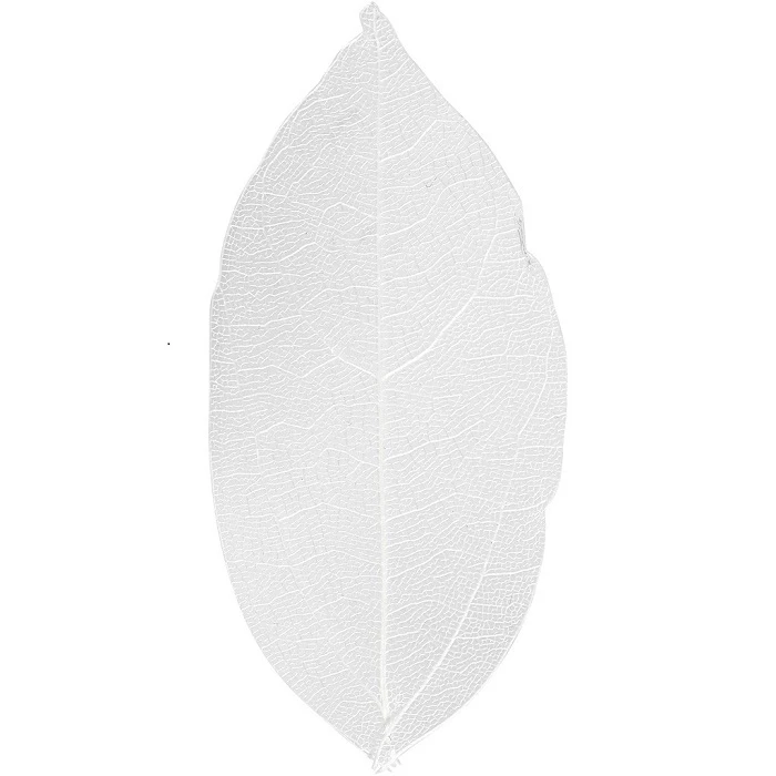 Transparent wooden leaves (white)