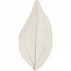 Прозрачные деревянные листья (натуральные)