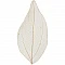 Прозрачные деревянные листья (натуральные)