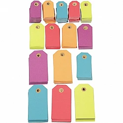 Cardboard Tags - Coloured (500 pcs)