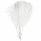Feathers - white (10 pcs.)