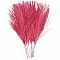Feathers - pink (10 pcs)