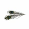Peacock feathers (10 pcs)