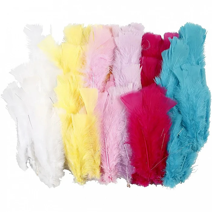 Bundles of Colourful Feathers