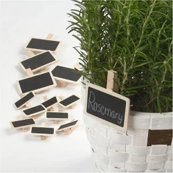 Chalkboard Clips with Pegs (12 pcs)
