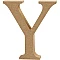 Wooden Letter Y (13 cm)