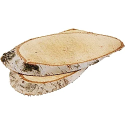 Wood Birch Discs (7 pcs)