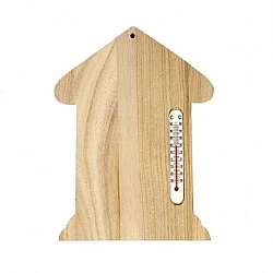Thermometer 