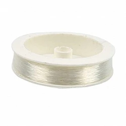 Nylon Fishing Line (0.4 mm, 100 m)