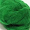 Wool Freshener - Green (500 g)