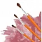 Brush for Watercolours 