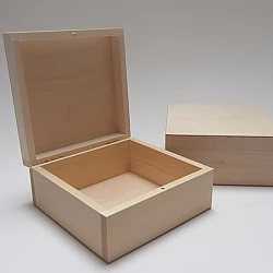 Wooden CD Storage Box II