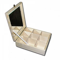 Charging case with mirror and 9 compartments
