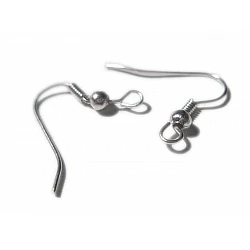 Earring Hooks