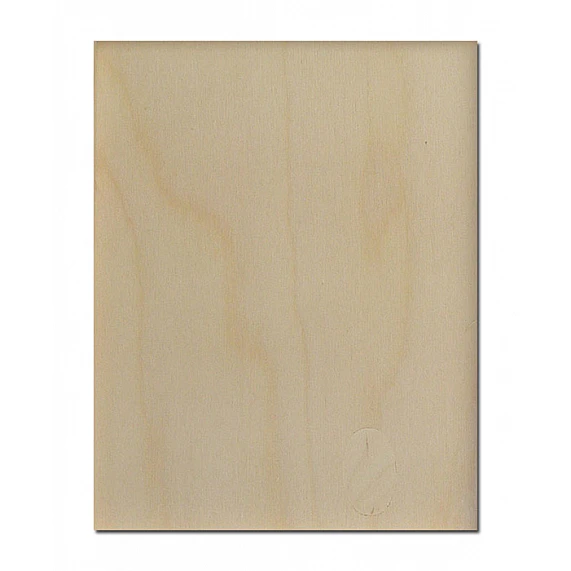 Paliktnis gleznošanai - taisnstūra