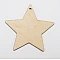 Star - 5 cm (with hole)