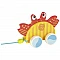 Pull-along Toy 