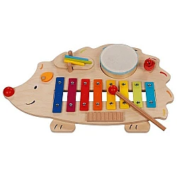 5-in-1 Musical Instrument 