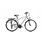 Bicycle ROMET WAGANT Silver 2328783 21L