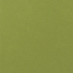 Formfilcs - лайм зелёный (30x45 см)