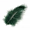 Dyed Feathers – Dark Green (15 pcs)