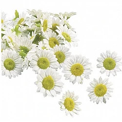 Тканевые декоры 