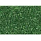 Decorative Glitter - Lime (7 g)