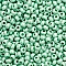 Beads - Mint Green (20 g)