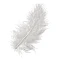 Painted Feathers - White (15 pcs.)