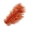 Dyed Feathers – Salmon Color (15 pcs)