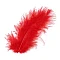 Painted Feathers - Red (15 pcs)