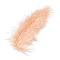 Окрашенные перья — абрикосового цвета (15 шт.)