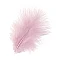 Dyed Feathers - Pale Pink (15 pcs)