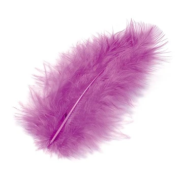 Krāsotas spalvas - violetas (15 gb.)