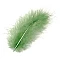 Окрашенные перья — ярко-зеленые (15 шт.)