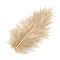 Dyed Feathers - Sand Colour (15 pcs)